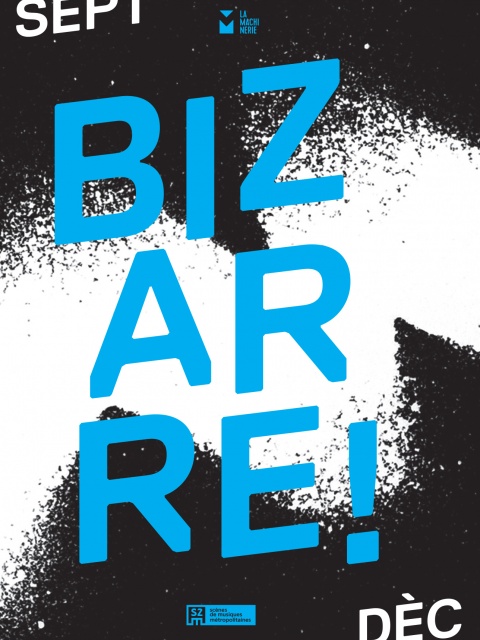 le Projet Bizarre